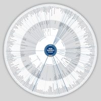 Touchpoint Customer Wheel